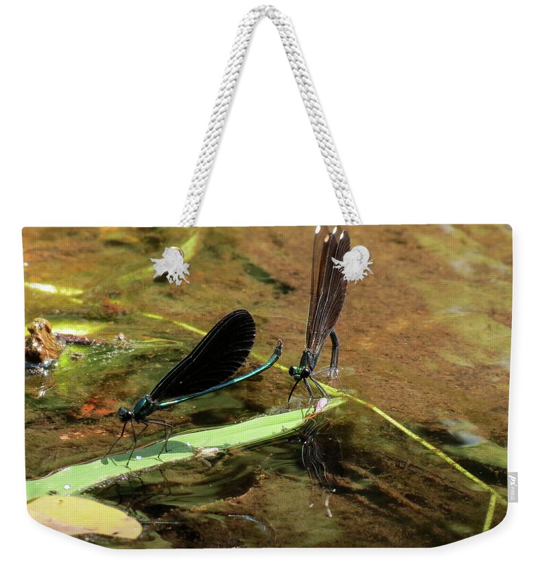 Damselfly Weekender Tote Bag featuring the photograph A pair alight by Azthet Photography