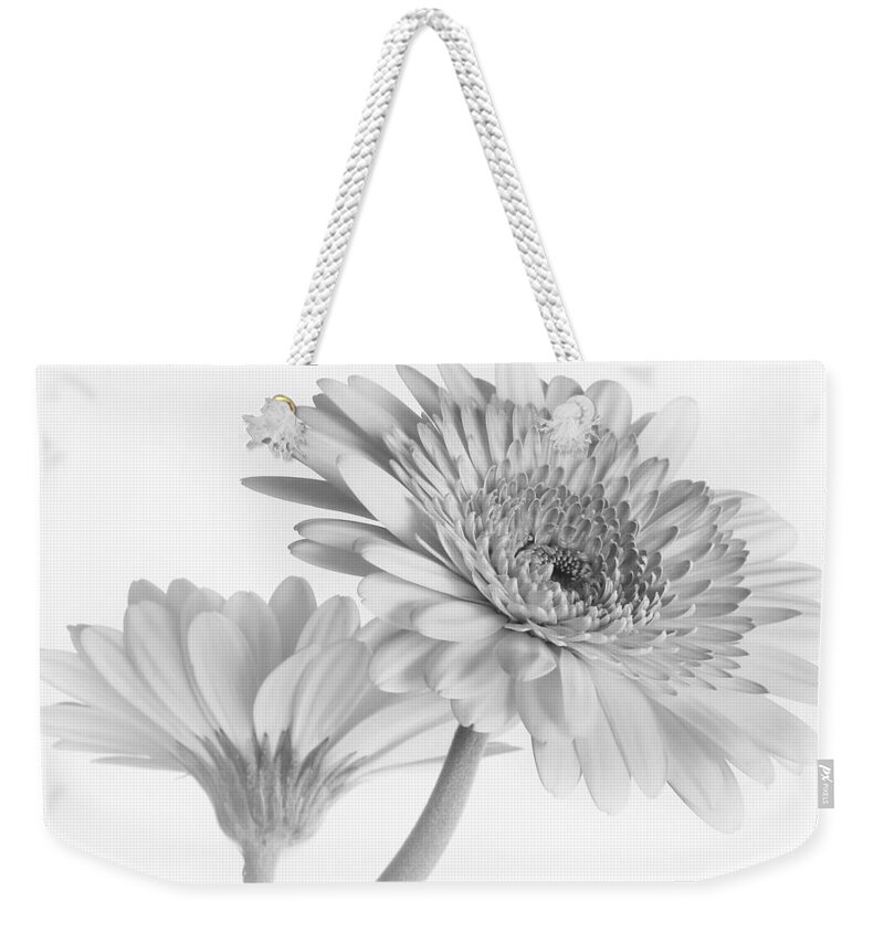 Flower Weekender Tote Bag featuring the photograph A Pair of Daisies by David and Carol Kelly