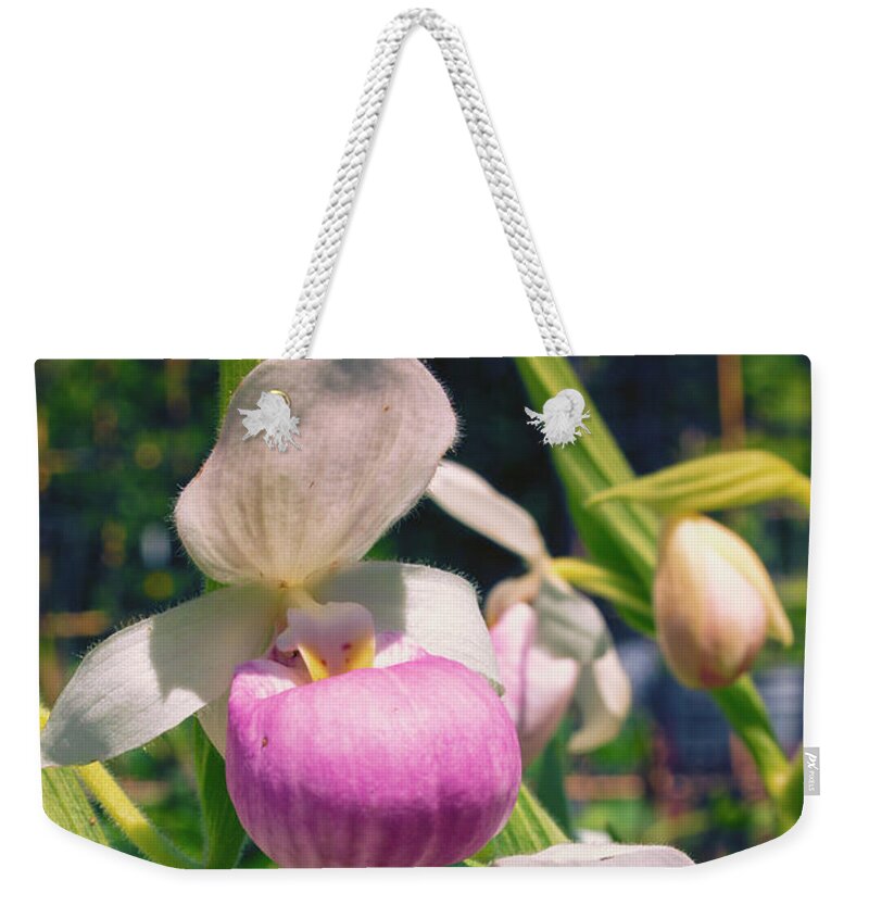 Showy Lady Slipper Weekender Tote Bag featuring the photograph A Pair of Slippers by Nancy Dunivin