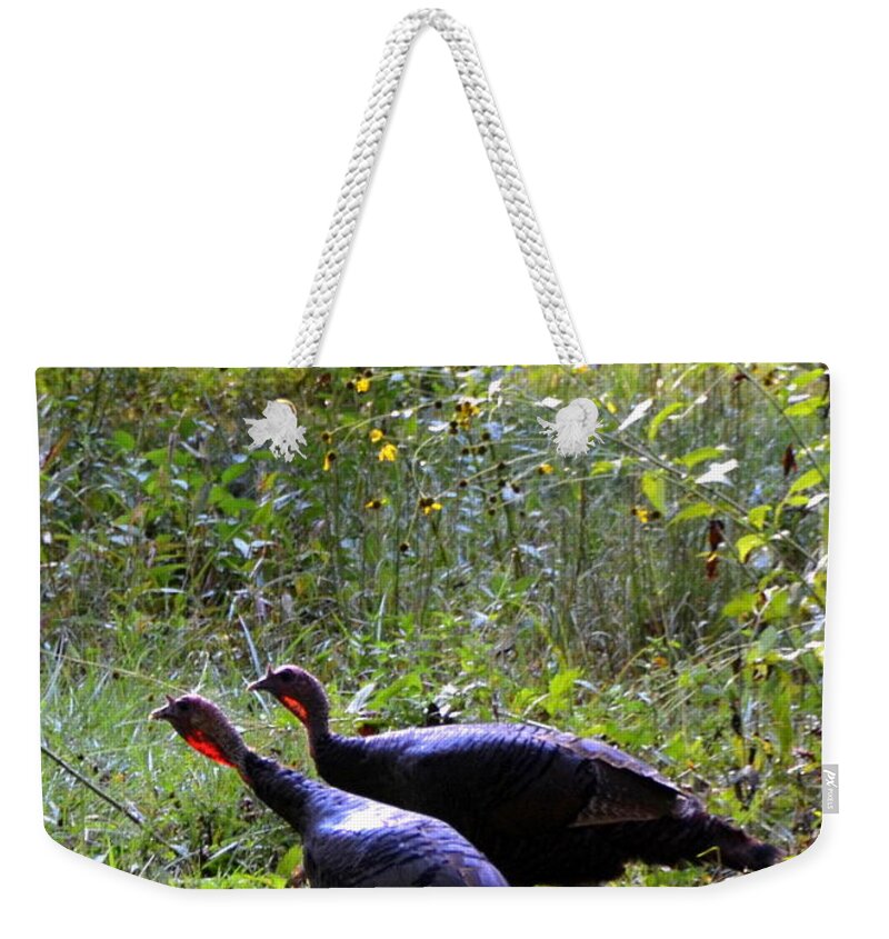 Wild Turkeys Weekender Tote Bag featuring the photograph A Pair of Wild Turkeys by Carla Parris