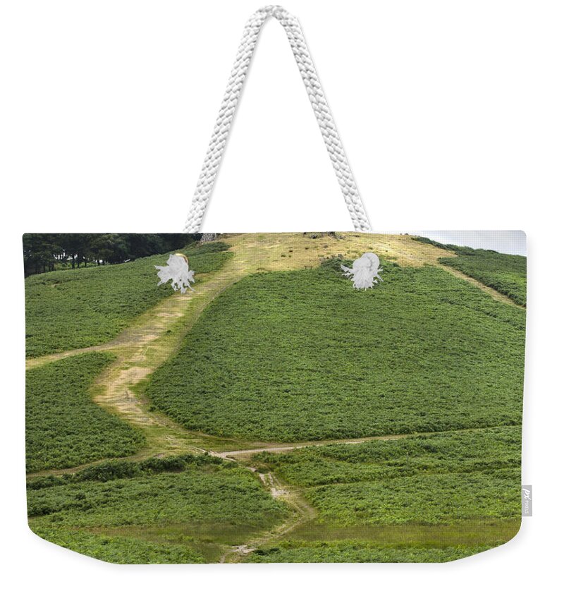 Leicestershire Landmarks Weekender Tote Bag featuring the photograph A Path To A Folly by Linsey Williams