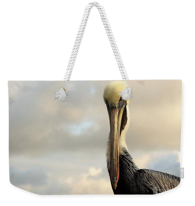 Pelican Weekender Tote Bag featuring the photograph A Pelican's Portrait by Jan Gelders