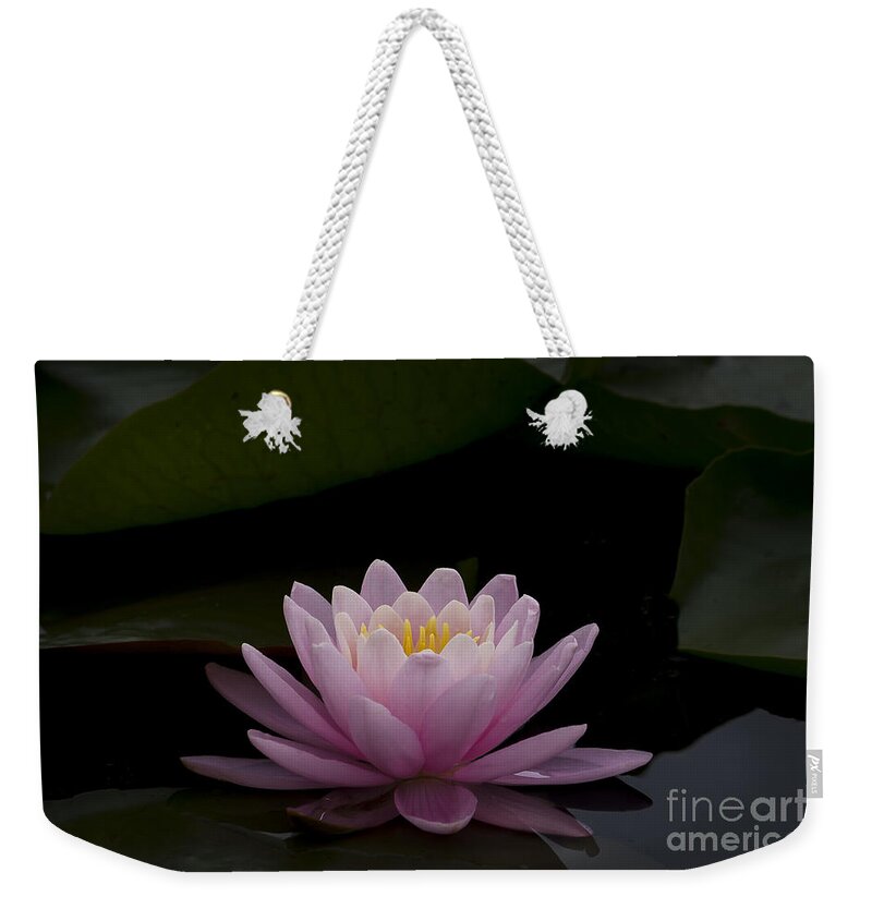 Flower Weekender Tote Bag featuring the photograph A Perfect Bloom by Andrea Silies