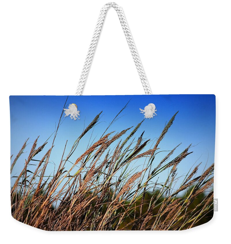 Grass Weekender Tote Bag featuring the photograph A Picture Worth A Thousand Words by Debra Forand