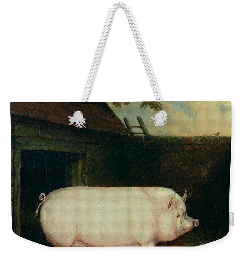 A Pig In Its Sty Weekender Tote Bag featuring the painting A Pig in its Sty by E M Fox