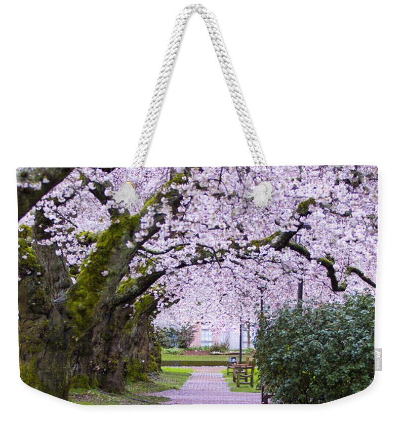 Pink Weekender Tote Bag featuring the photograph A Pink Pathway by Matt McDonald