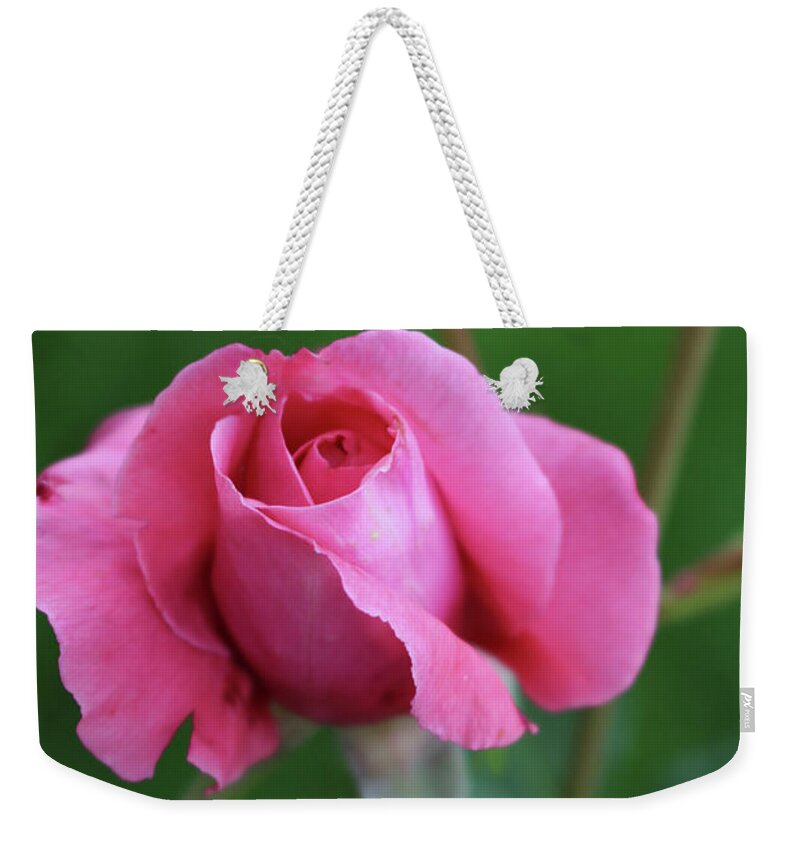 Rose Weekender Tote Bag featuring the photograph A pink rose by Irma Naan