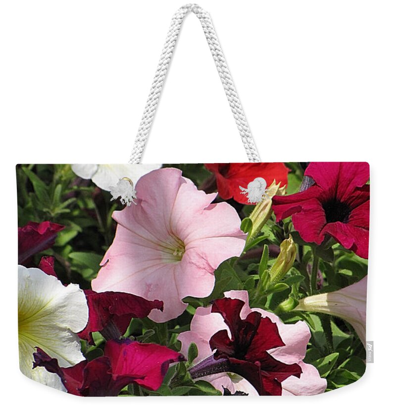 Petunia Weekender Tote Bag featuring the photograph A Plethora of Petunias by Cheryl Charette