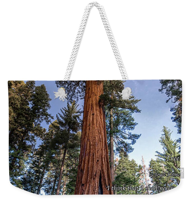 Sequoia Weekender Tote Bag featuring the photograph A poem lovely as a tree.  by Phil Abrams