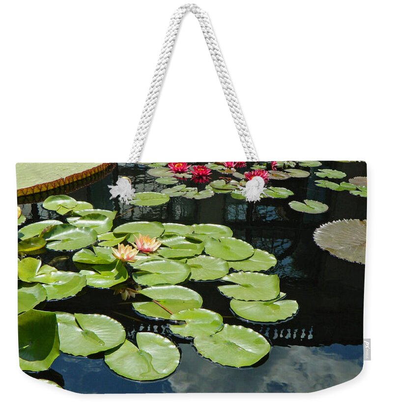 Pond Weekender Tote Bag featuring the photograph A Pond Of Beauty by Emmy Marie Vickers