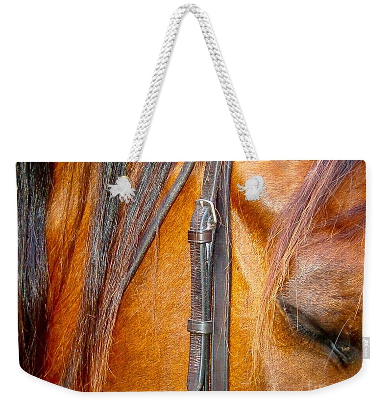 Horse Weekender Tote Bag featuring the photograph A Restful Moment by Johnnie Stanfield