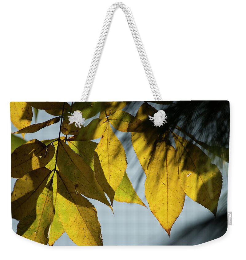 Fall Leaves Weekender Tote Bag featuring the photograph A Season Of Change by Mike Eingle