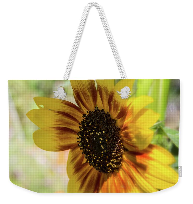 Duke Gardens Weekender Tote Bag featuring the photograph A shy sunflower by Agnes Caruso
