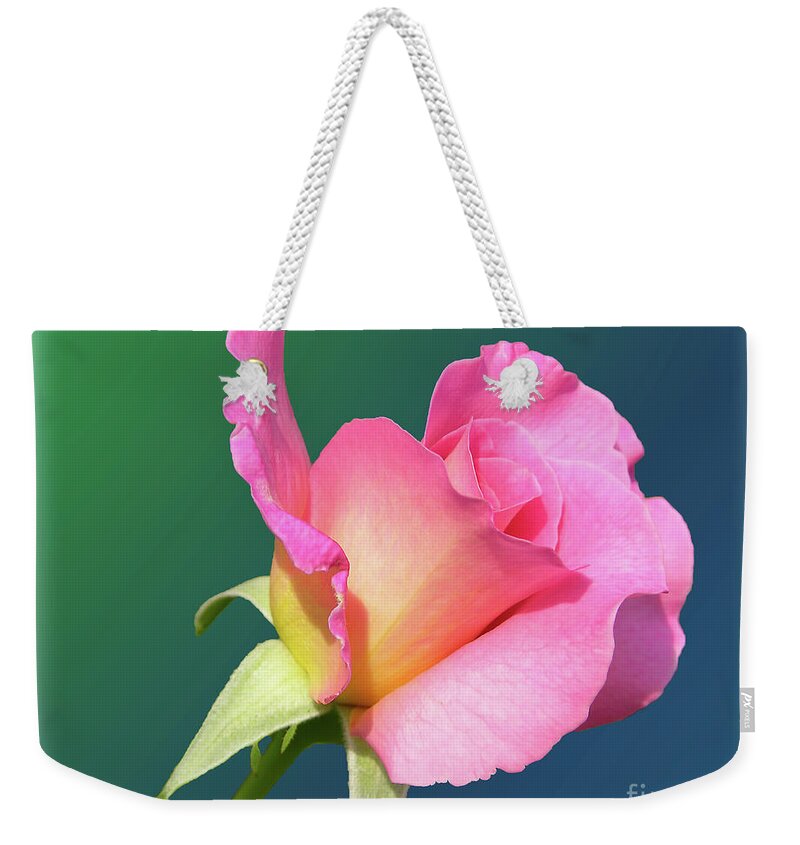Flora Weekender Tote Bag featuring the digital art A single rose by Mariarosa Rockefeller