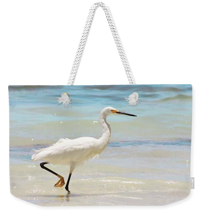 Egret Weekender Tote Bag featuring the photograph A Snowy Egret (egretta Thula) At Mahoe by John Edwards