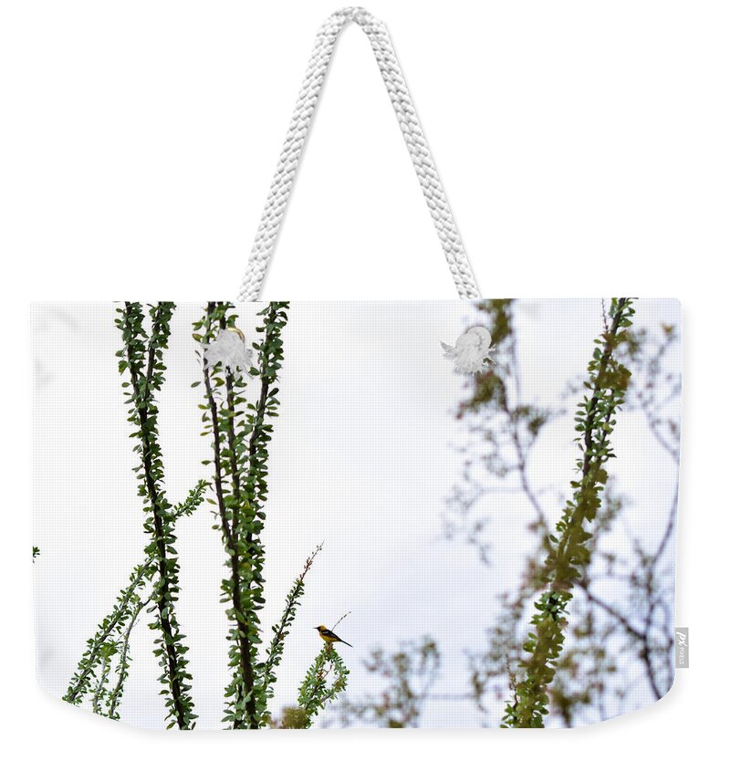 Bird Weekender Tote Bag featuring the photograph A Song by Melisa Elliott