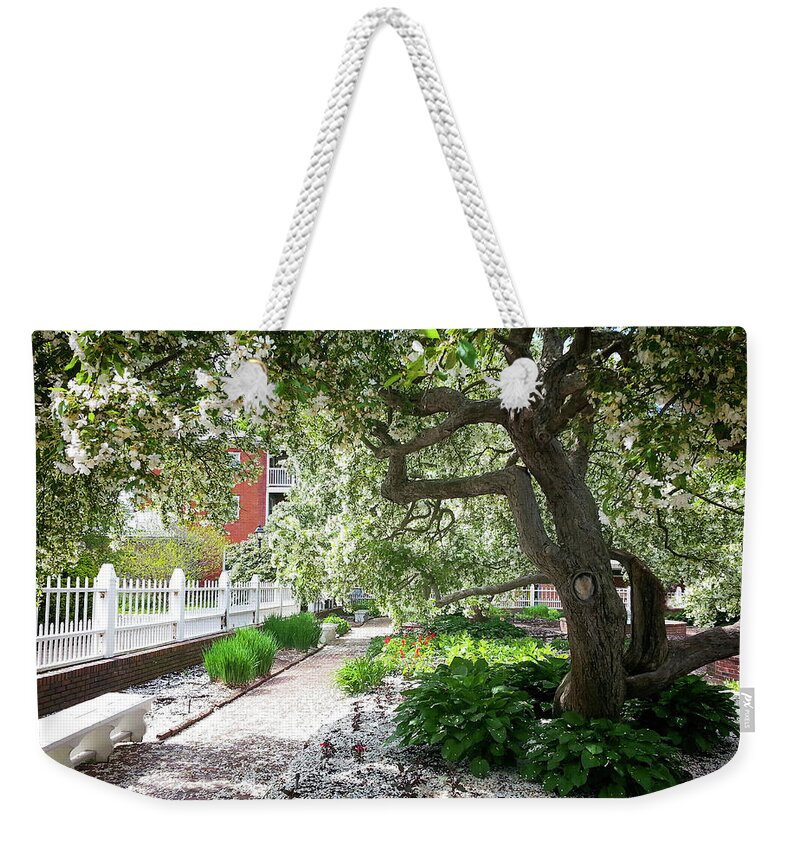 New Hampshire Weekender Tote Bag featuring the photograph A springtime carpet of white petals from a tree by Natalie Rotman Cote