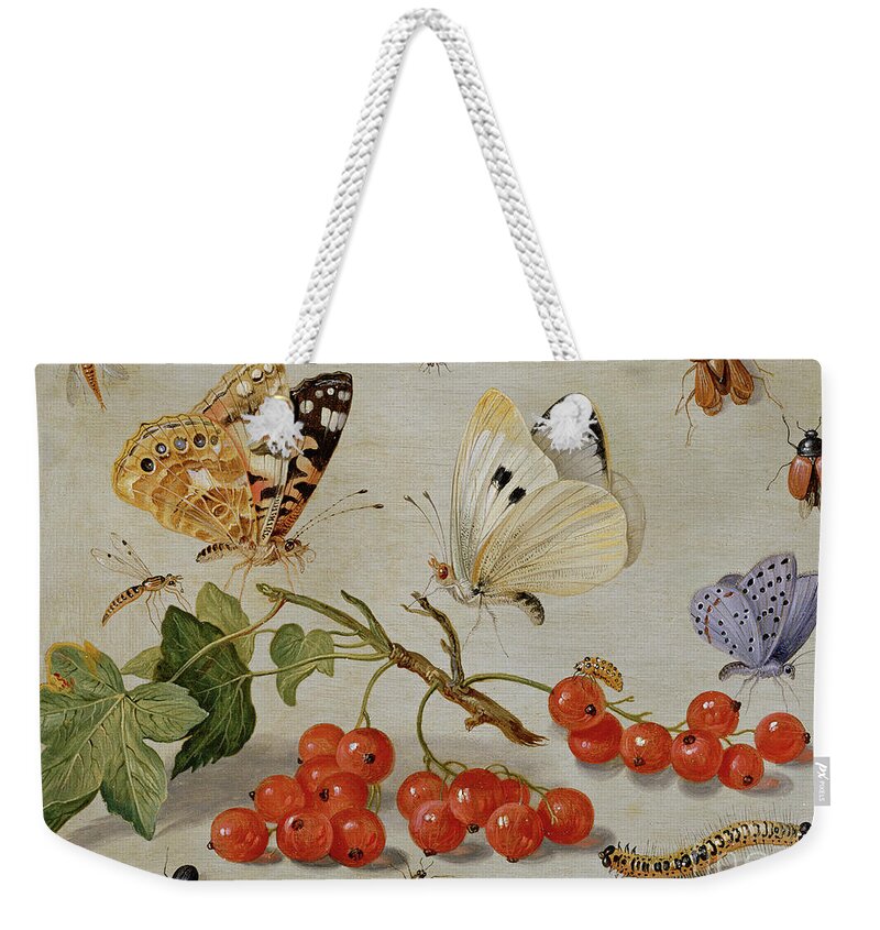 Insect Weekender Tote Bag featuring the painting A still life with sprig of Redcurrants, butterflies, beetles, caterpillar and insects by Jan Van Kessel