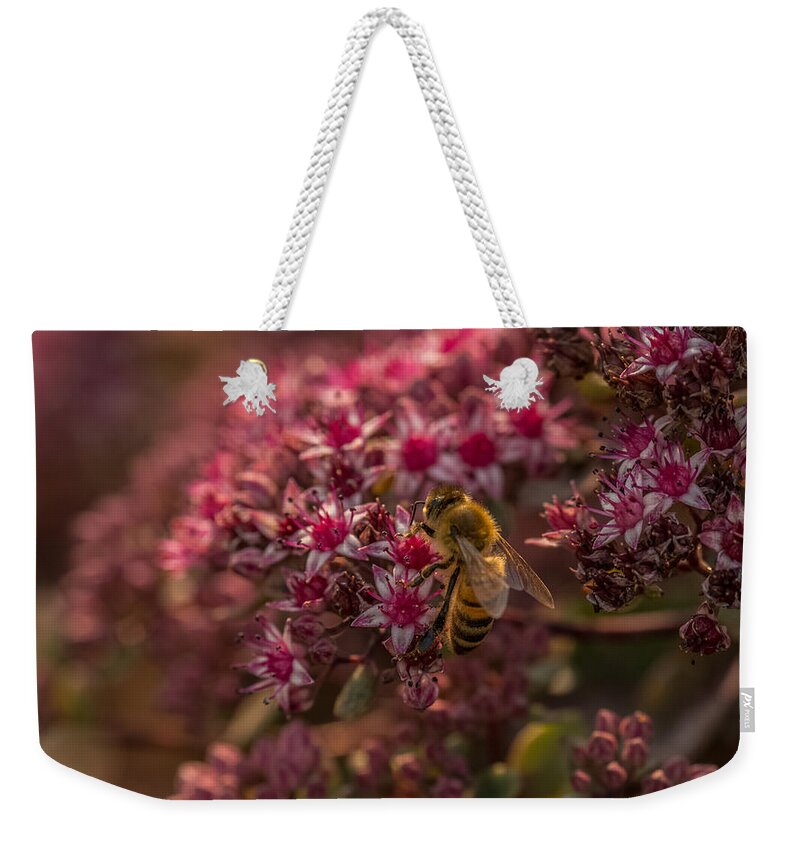 Bee Weekender Tote Bag featuring the photograph A Summer Bee by Yeates Photography