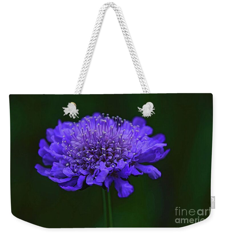 Floral Art Weekender Tote Bag featuring the photograph A Sweet Scabiosa by Diana Mary Sharpton