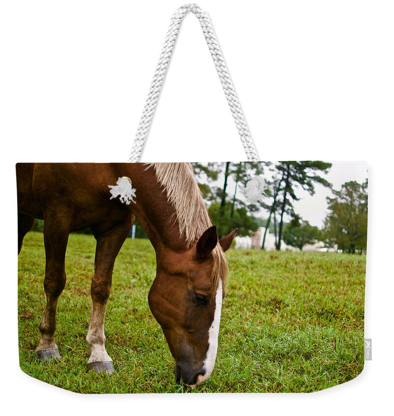 Horse Weekender Tote Bag featuring the photograph A Sweet September by Lara Morrison