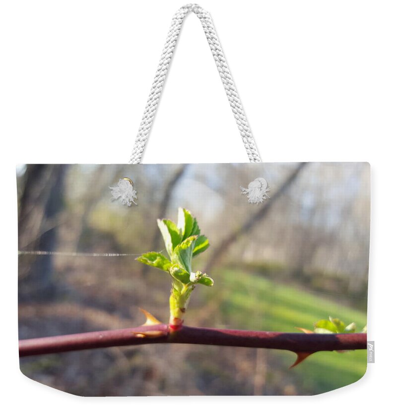 Plant Weekender Tote Bag featuring the photograph A Thread and a Thorn by Dani McEvoy