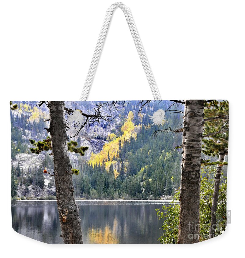 Nature Weekender Tote Bag featuring the photograph A Time for Reflection by Nava Thompson