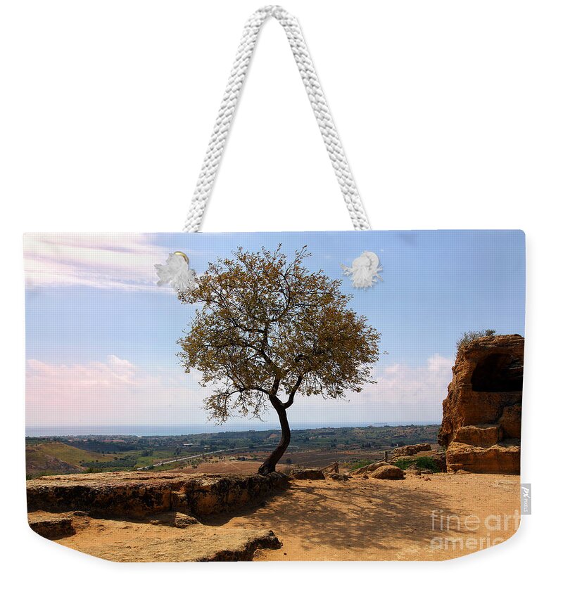 Tree Weekender Tote Bag featuring the photograph A Tree and a Rock by Madeline Ellis