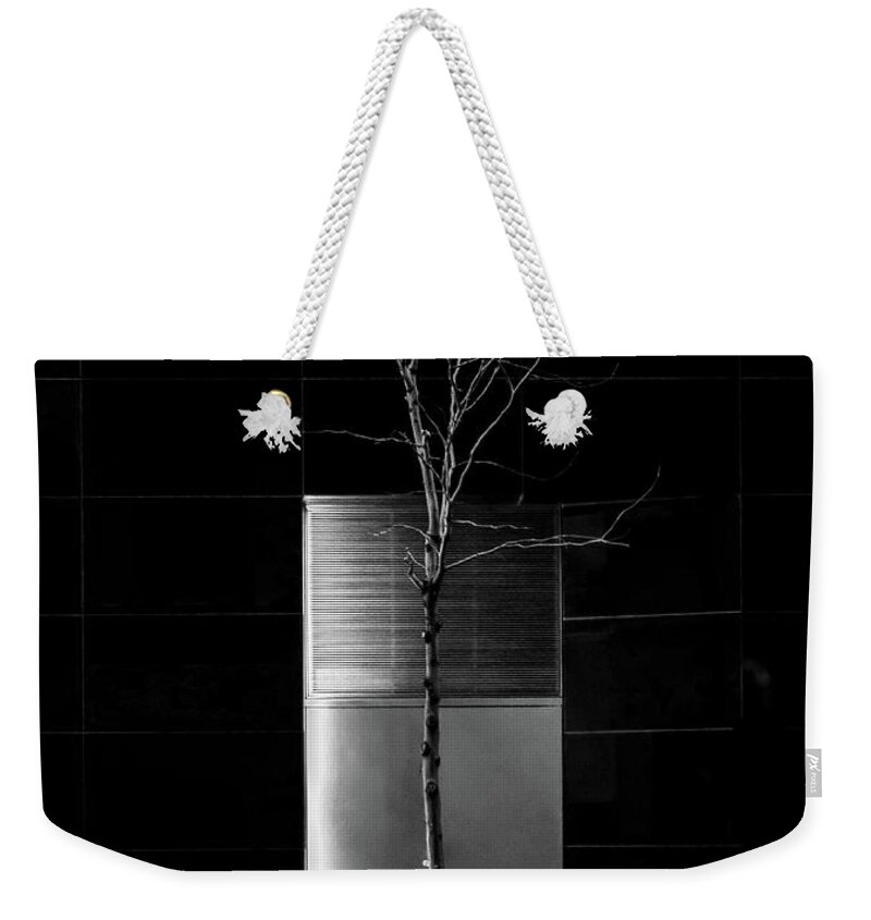 Tree Weekender Tote Bag featuring the photograph A Tree Grows in the City - BW by James Aiken