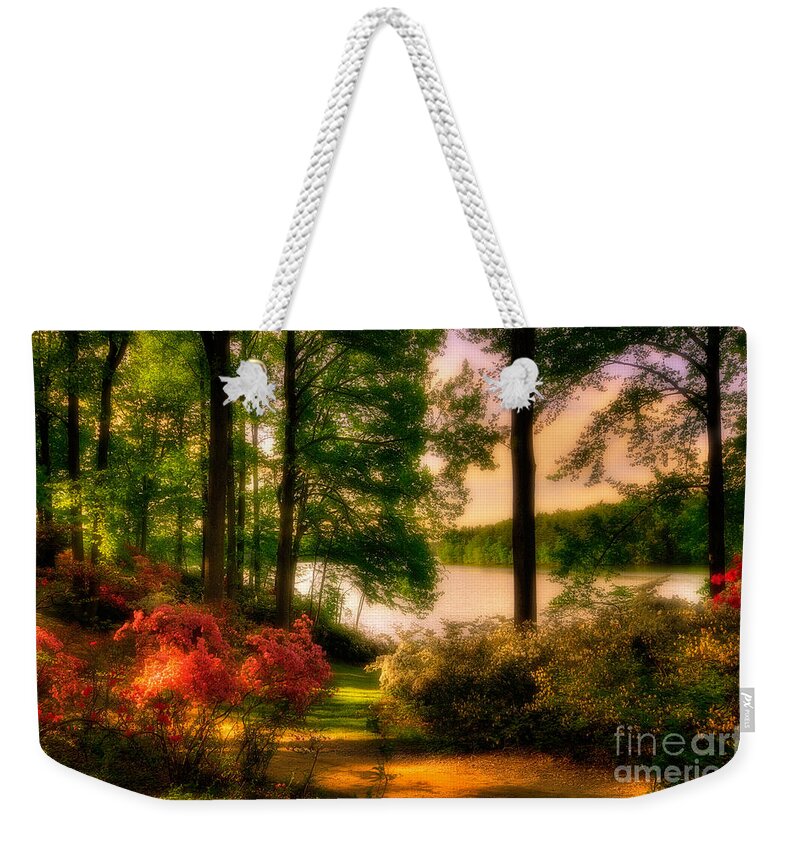 Azalea Weekender Tote Bag featuring the photograph A Walk In The Park by Lois Bryan