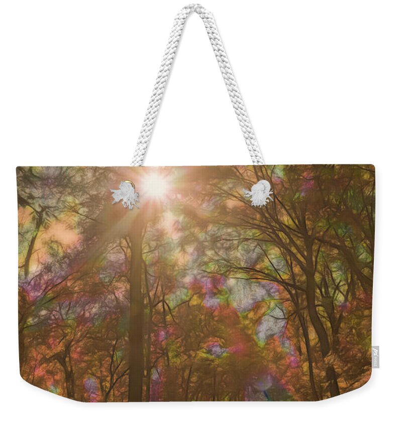 Rainbow Weekender Tote Bag featuring the photograph A Walk Through the Rainbow Forest by Beth Sawickie