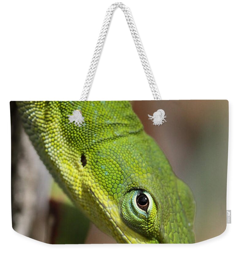 Green Anole Weekender Tote Bag featuring the photograph A Watchful Eye by Doris Potter