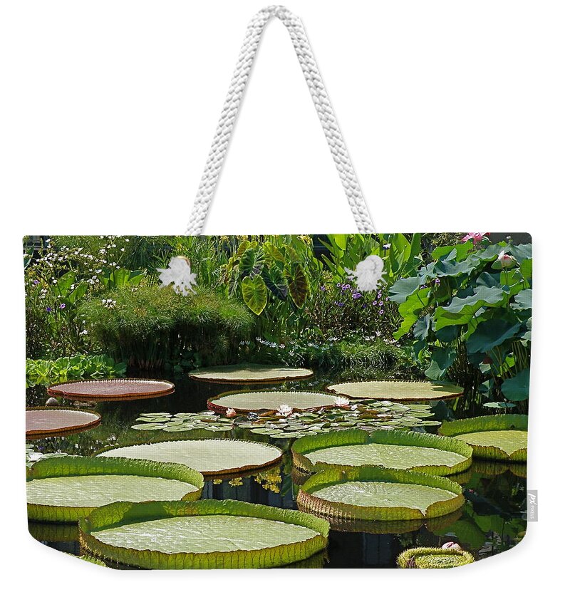 water Garden Weekender Tote Bag featuring the photograph A Water Garden by Byron Varvarigos