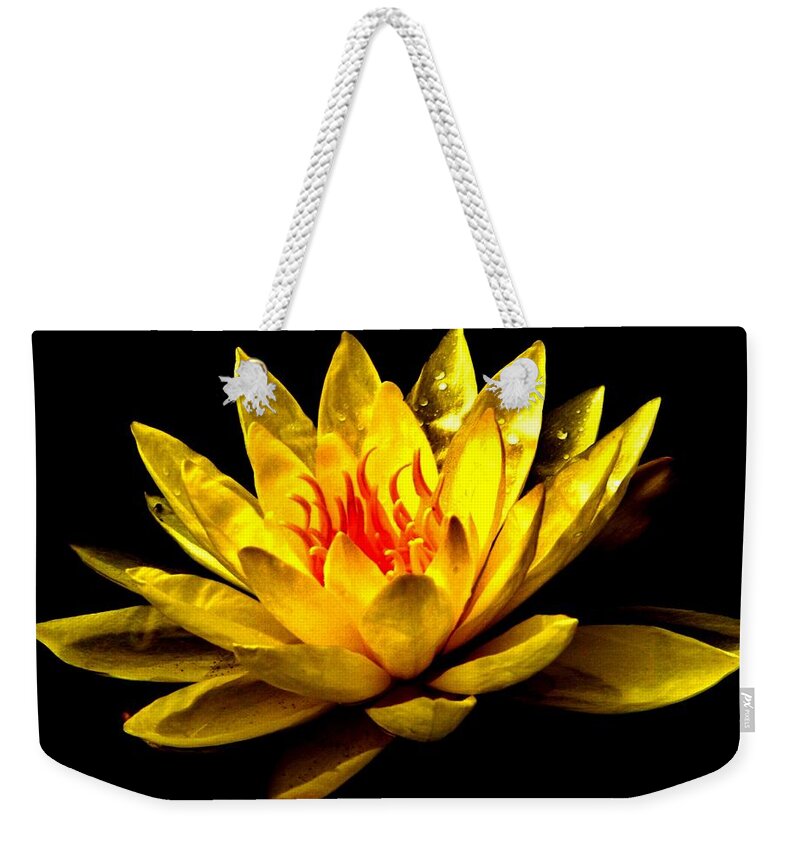 Lily Weekender Tote Bag featuring the photograph A Water Lily by Eileen Brymer
