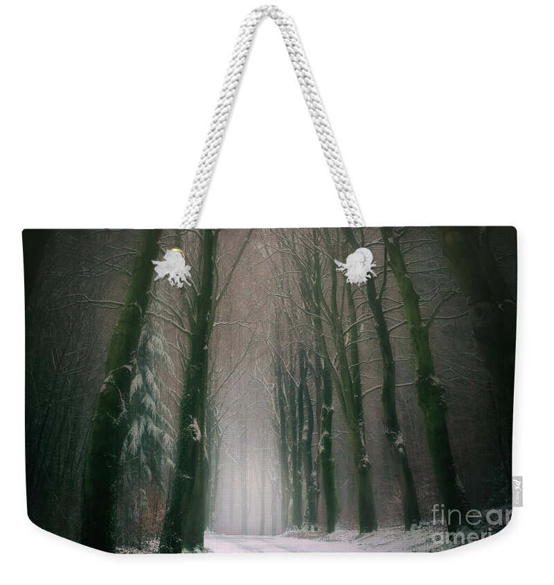 Winter Weekender Tote Bag featuring the photograph A Woodland Fantasy by David Lichtneker