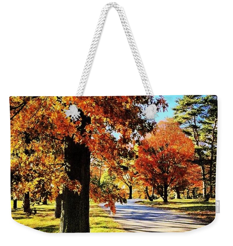 Acceptance Weekender Tote Bag featuring the photograph About Autumn by Nick Heap