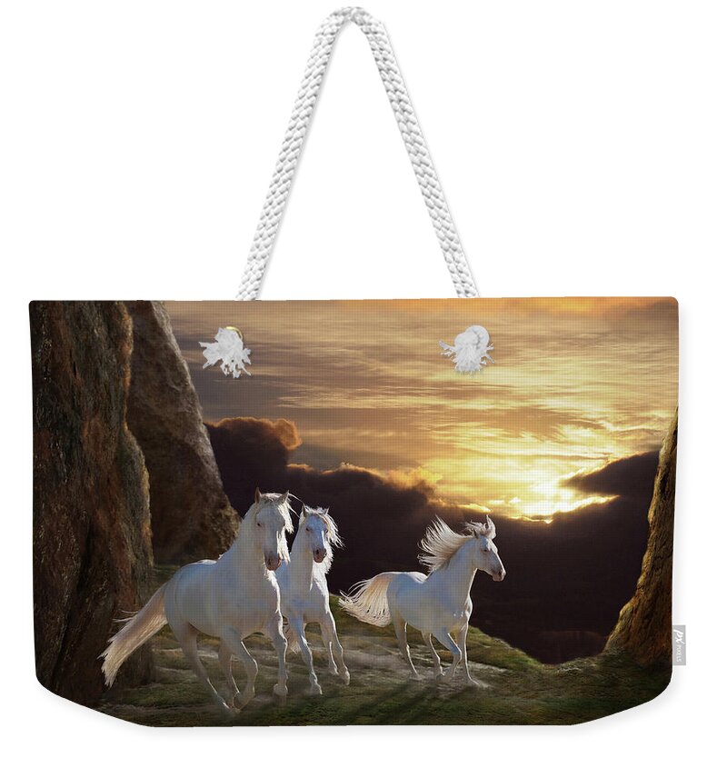Sunsets Weekender Tote Bag featuring the photograph Above the Storm by Melinda Hughes-Berland