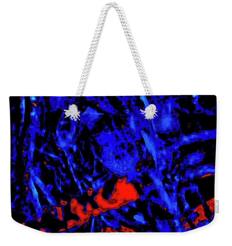 Abstract Weekender Tote Bag featuring the photograph Abstract Bird Nest by Gina O'Brien