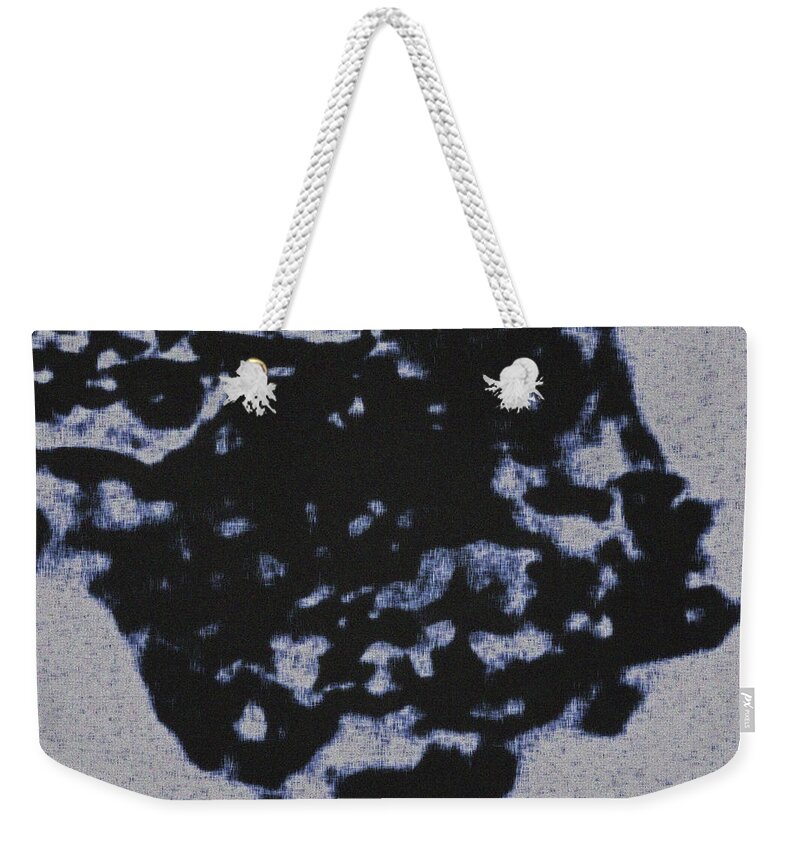 Abstract Weekender Tote Bag featuring the photograph Abstract Born of a Flying Crow by Gina O'Brien
