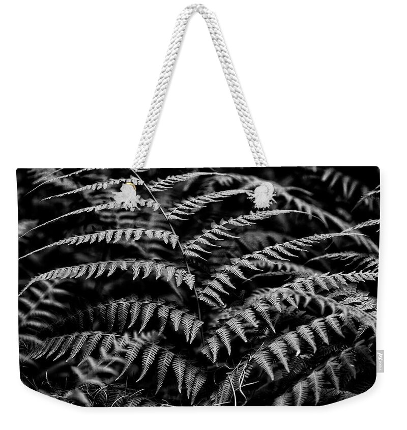 Ferns Weekender Tote Bag featuring the photograph Abstract Ferns by Kevin Cable