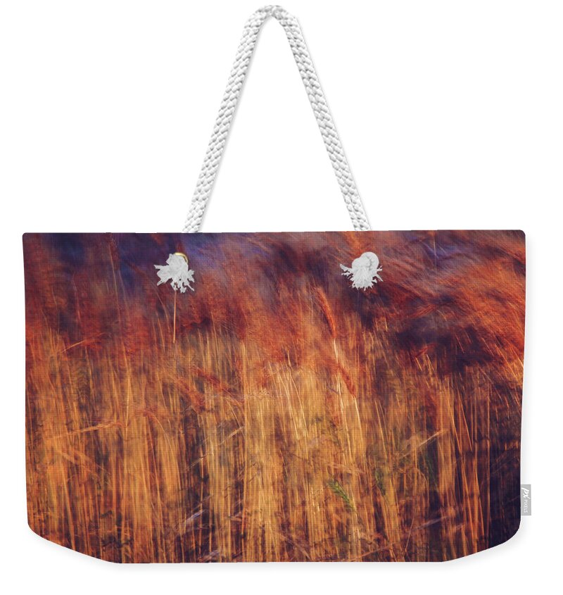 Abstract Weekender Tote Bag featuring the photograph Abstract Grasses in the Evening by Toni Hopper