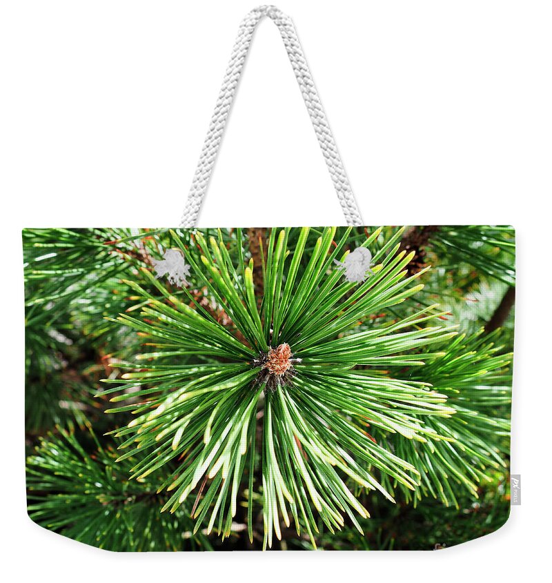 210 Weekender Tote Bag featuring the photograph Abstract Nature Green Pine Tree Macro Photo 210 by Ricardos Creations