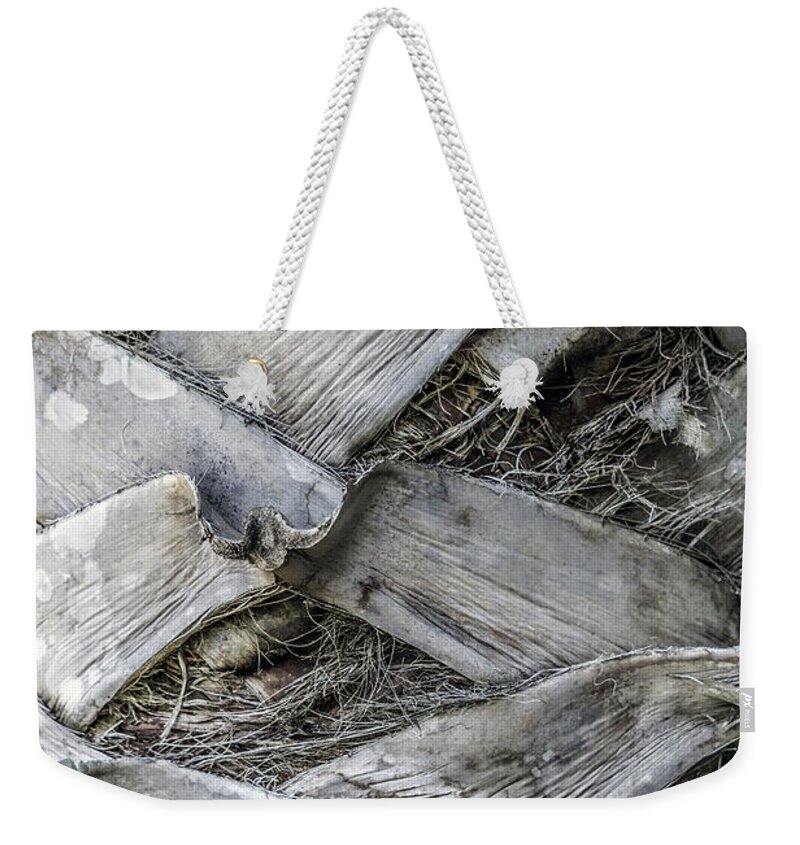 Abstract Weekender Tote Bag featuring the photograph Abstract Nature Tropical Palm Tree Bark 1873A by Ricardos Creations