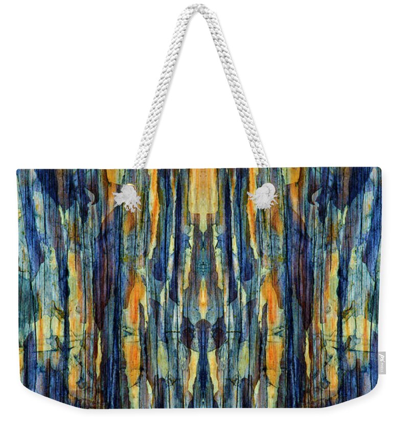 Abstract Weekender Tote Bag featuring the photograph Abstract Symmetry I by David Gordon