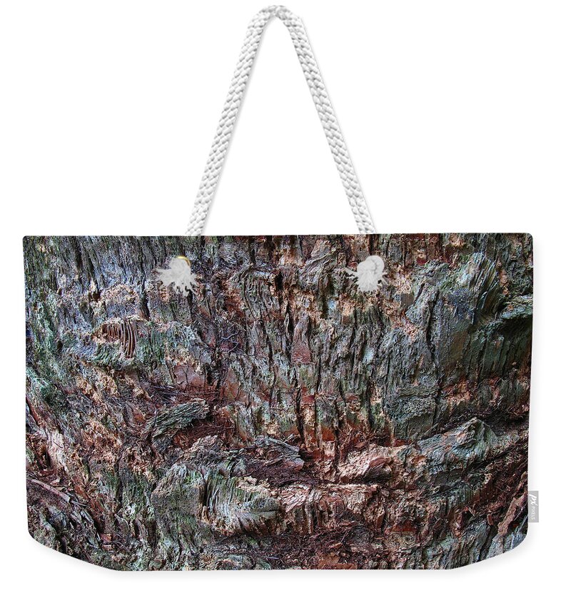 Abstract Weekender Tote Bag featuring the photograph Abstract Tree Bark by Juergen Roth