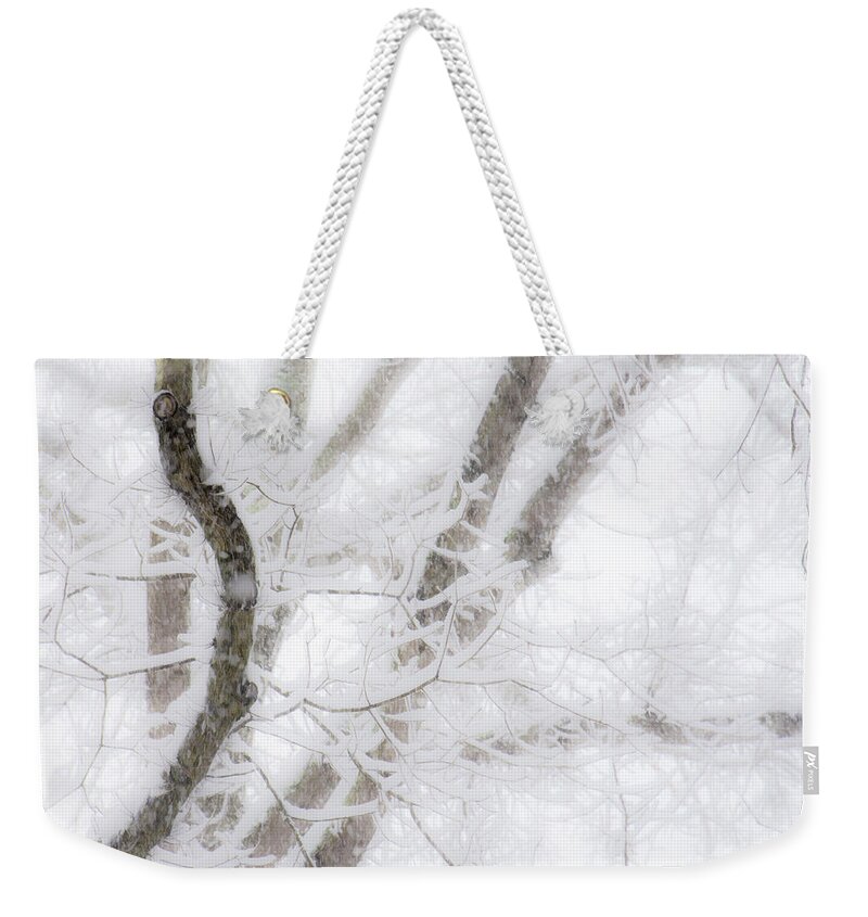 Trees Weekender Tote Bag featuring the photograph Abstract trees by Karen Smale