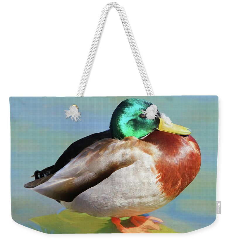 Mallard Weekender Tote Bag featuring the photograph Achoo by Donna Kennedy