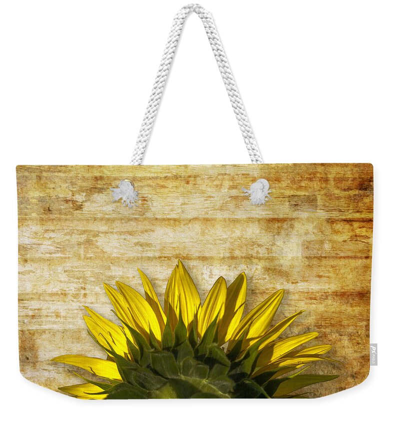 Beautiful Weekender Tote Bag featuring the photograph Ad Orientem by Melinda Ledsome