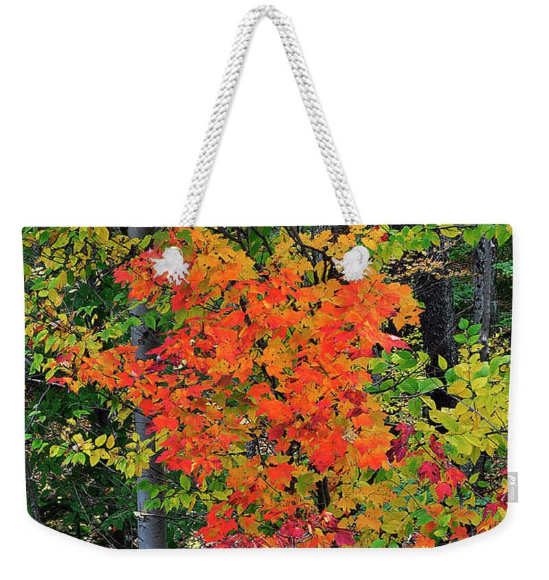 Diane Berry Weekender Tote Bag featuring the photograph Adirondack Crimson by Diane E Berry