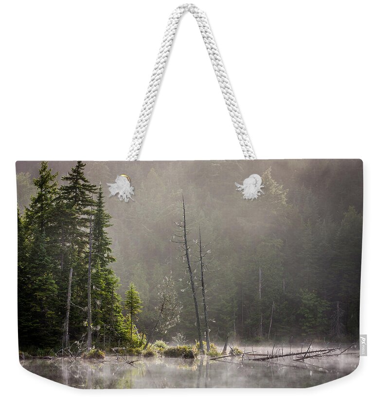 Art Weekender Tote Bag featuring the photograph Adirondack Dream by Gary Migues